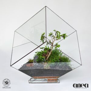 Cube XL