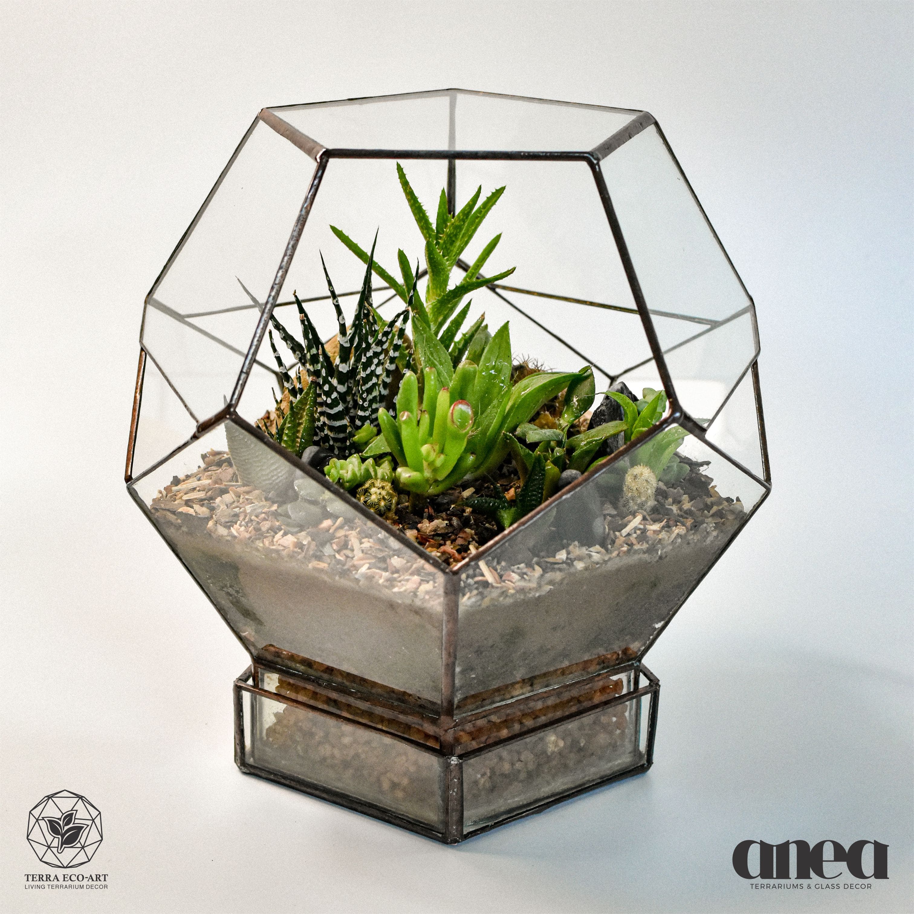 Dodecahedron