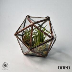 Octagon Ring Box