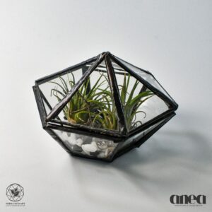 Tetrahedron Ring Box