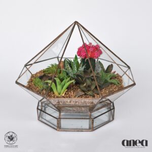 Tetrahedron