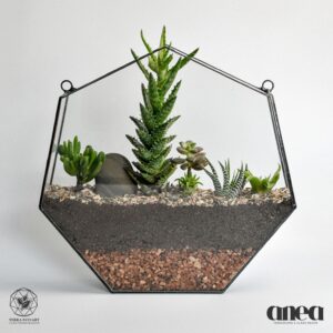 Heptagon Wallscape
