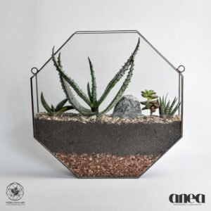 Octagon Wallscape