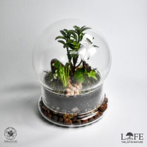Life Dome Globe Woodland