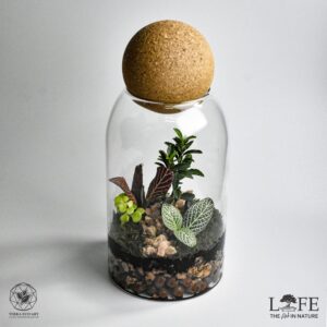 Life Round Cork Woodland